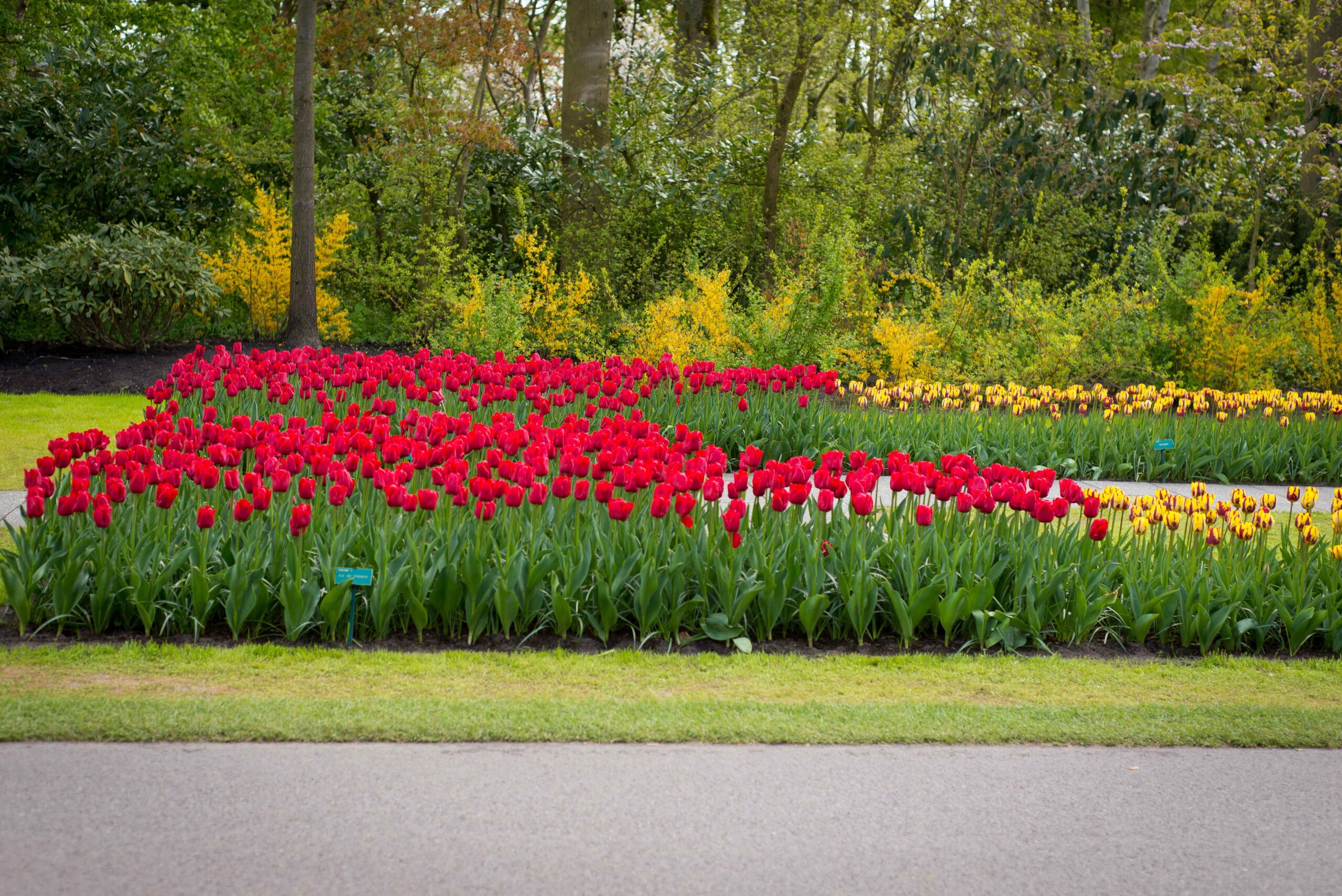 Keukenhof